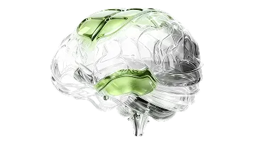 Поддержка вовлечения и удержания игроков